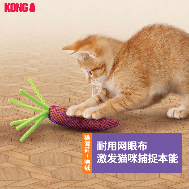 KONG猫玩具磨牙猫薄荷网眼胡萝卜宠物自嗨解闷逗猫玩具