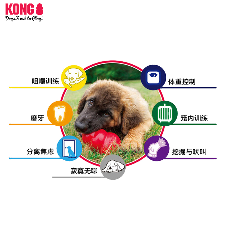 KONG狗狗玩具漏食球耐咬橡胶葫芦大型犬磨牙丰容藏食益智宠物玩具-图3