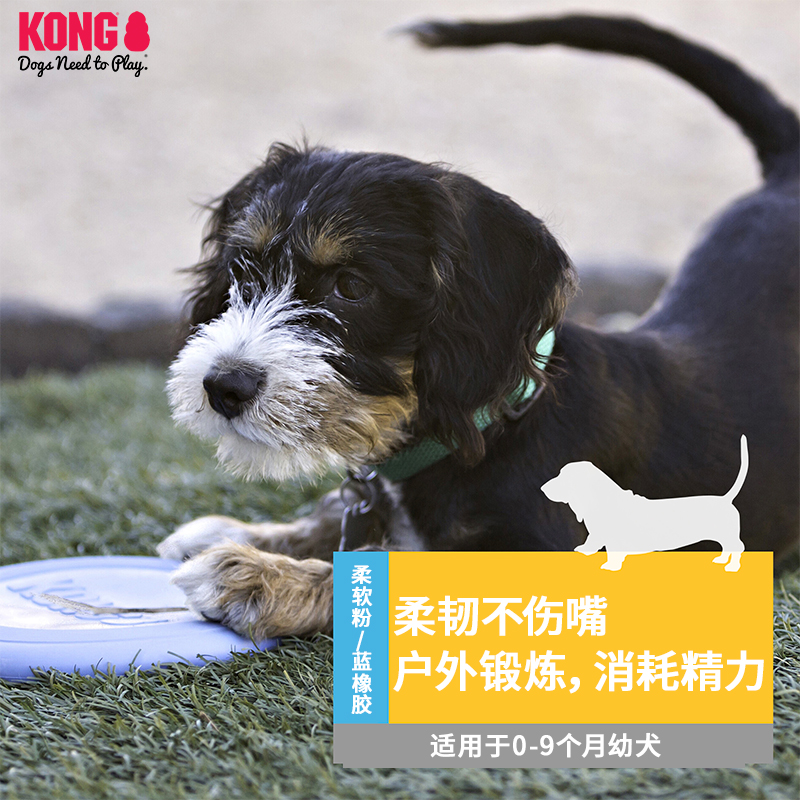 KONG幼犬飞盘耐咬磨牙柔软橡胶小型犬宠物游戏训狗专用飞盘狗玩具 - 图0