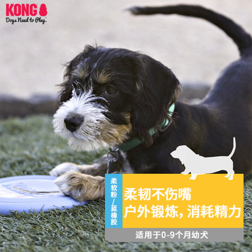 KONG幼犬飞盘耐咬磨牙柔软橡胶小型犬宠物游戏训狗专用飞盘狗玩具-图0