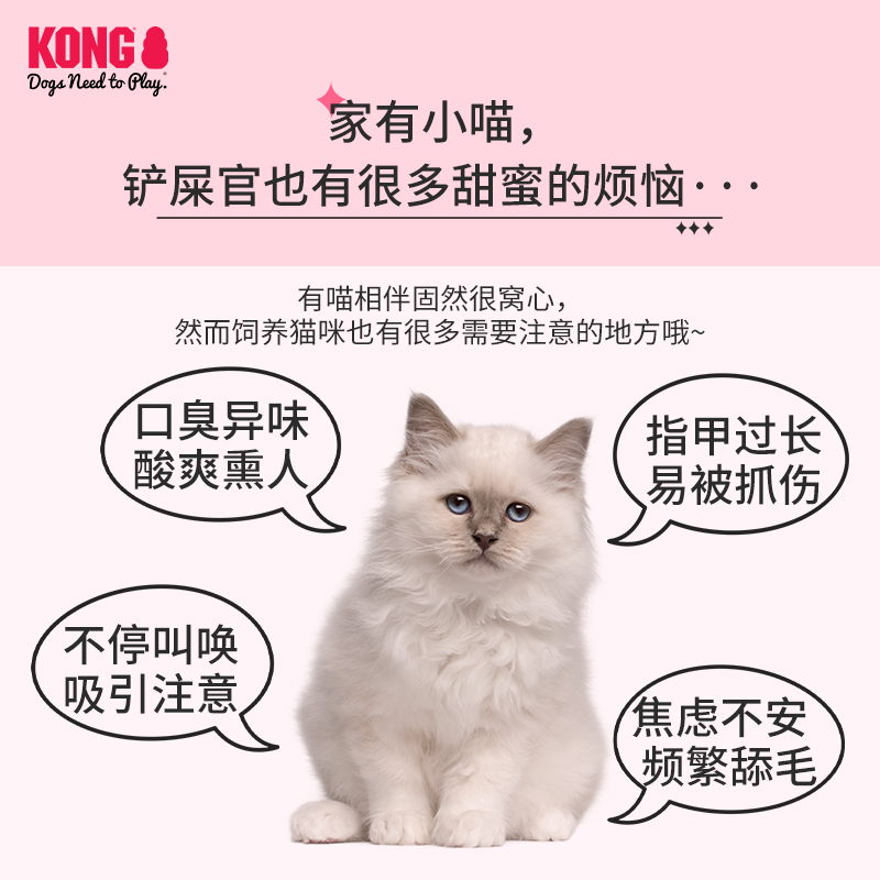 KONG猫咪玩具仿真补丁熊毛绒玩偶猫薄荷自嗨解闷宠物发声响纸玩具
