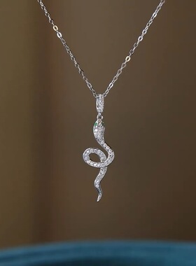 婚内婚外蔡文静宁悦同款小灵蛇项链女锁骨链毛衣链钛钢不掉色