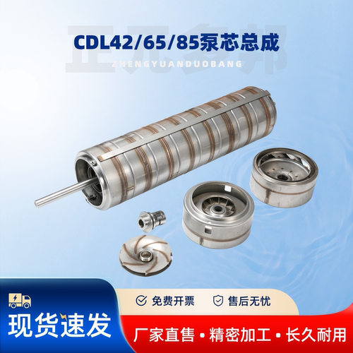 CDL/SDL/DLB/CDM42/65/85泵芯总成凯泉格兰富南方南元利欧泵配件 - 图0