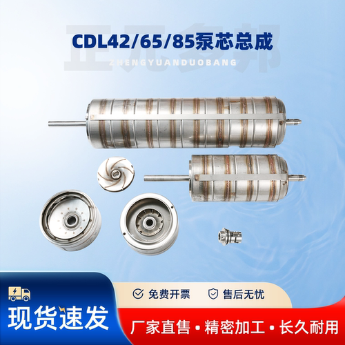CDL/SDL/DLB/CDM42/65/85泵芯总成凯泉格兰富南方南元利欧泵配件 - 图1