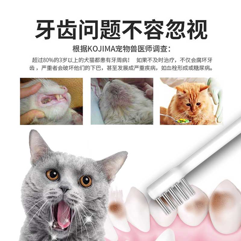 日本KOJIMA猫咪牙刷牙膏套装专用除口臭小刷牙用宠物牙齿清洁用品 - 图0