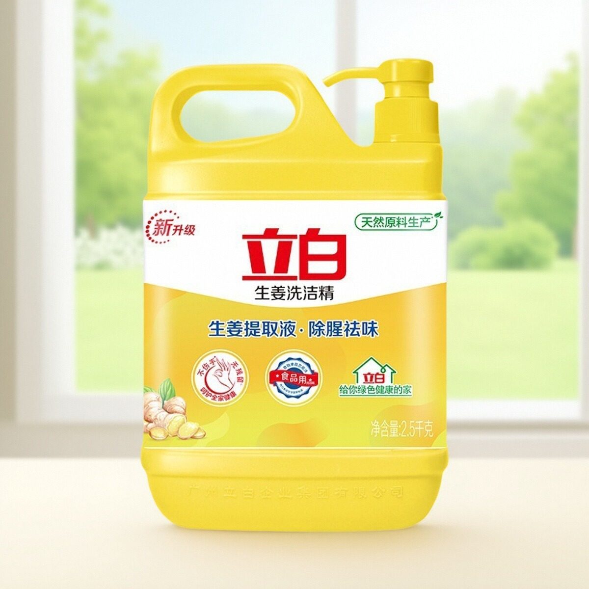 立白生姜洗洁精大桶按压瓶家庭装家用实惠装商用餐饮食品用洗碗液,淘宝优惠券,粉丝福利购,淘宝优惠卷