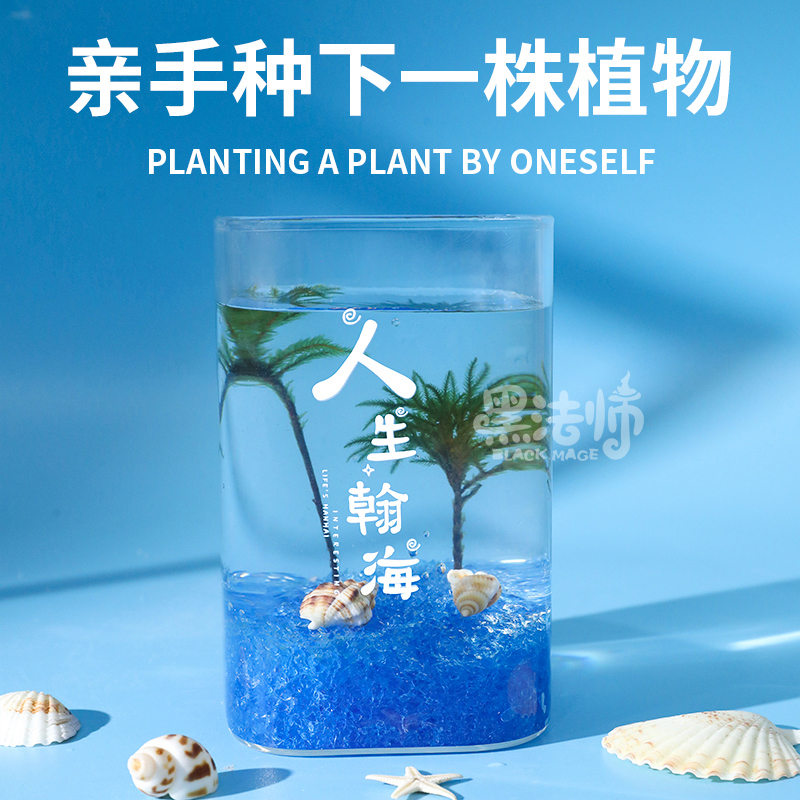 黑法师微景观棕榈莫斯水培植物办公室绿植室内盆栽diy手工礼物 - 图2