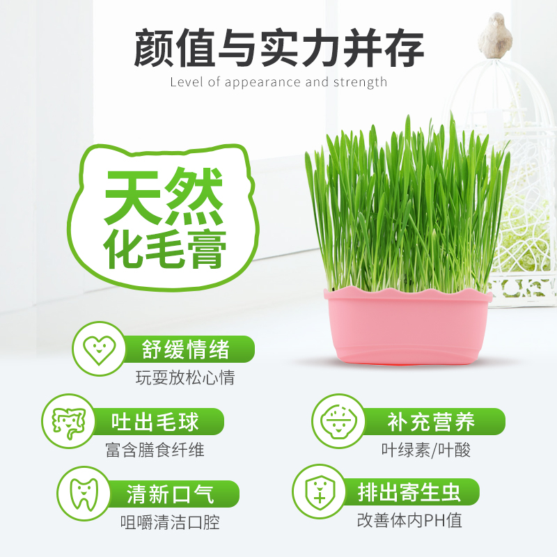 猫草种子水培猫薄荷猫零食除毛球化毛膏猫草种籽盆栽套装猫咪用品