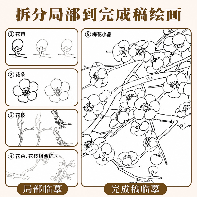 中国画白描临摹画册本入门线稿描摹本工笔画白描底稿书法控笔稿本 - 图2