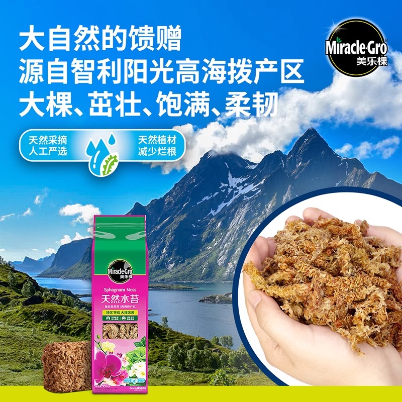 美乐棵智利毛毛虫水苔干苔藓文心兰石斛蝴蝶兰花专用土爬宠介质 - 图0