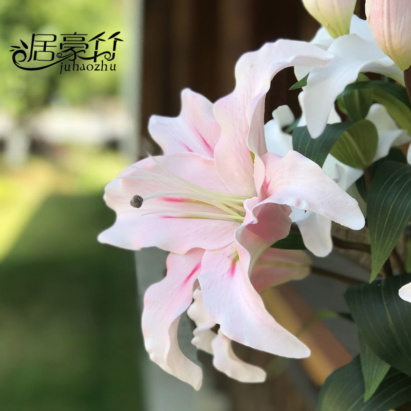 白百合粉花束 新人首单立减十元 21年9月 淘宝海外