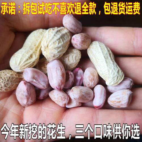 新鲜水煮花生晒干原味广西柳州酒席结婚用即食钓鱼零食 - 图1