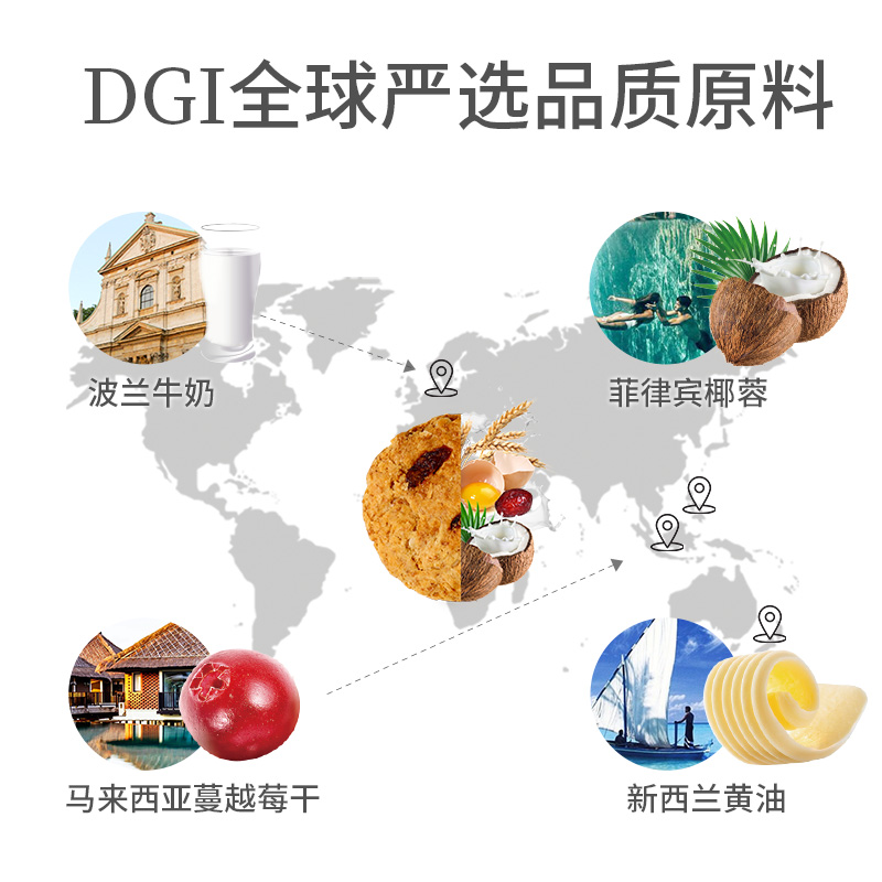 dgi低gi糖精全麦蔓越莓压缩松饼 DGI食品营养（消化）饼干