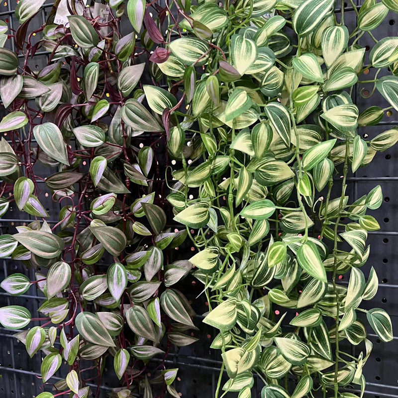 新款高仿真吊兰梅 眼眉叶藤条藤蔓垂挂吊挂墙面吊顶室内装饰叶子,淘宝优惠券,粉丝福利购,淘宝优惠卷