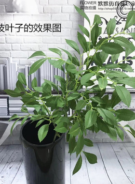 新仿真绿植枣树叶3叉造景假树