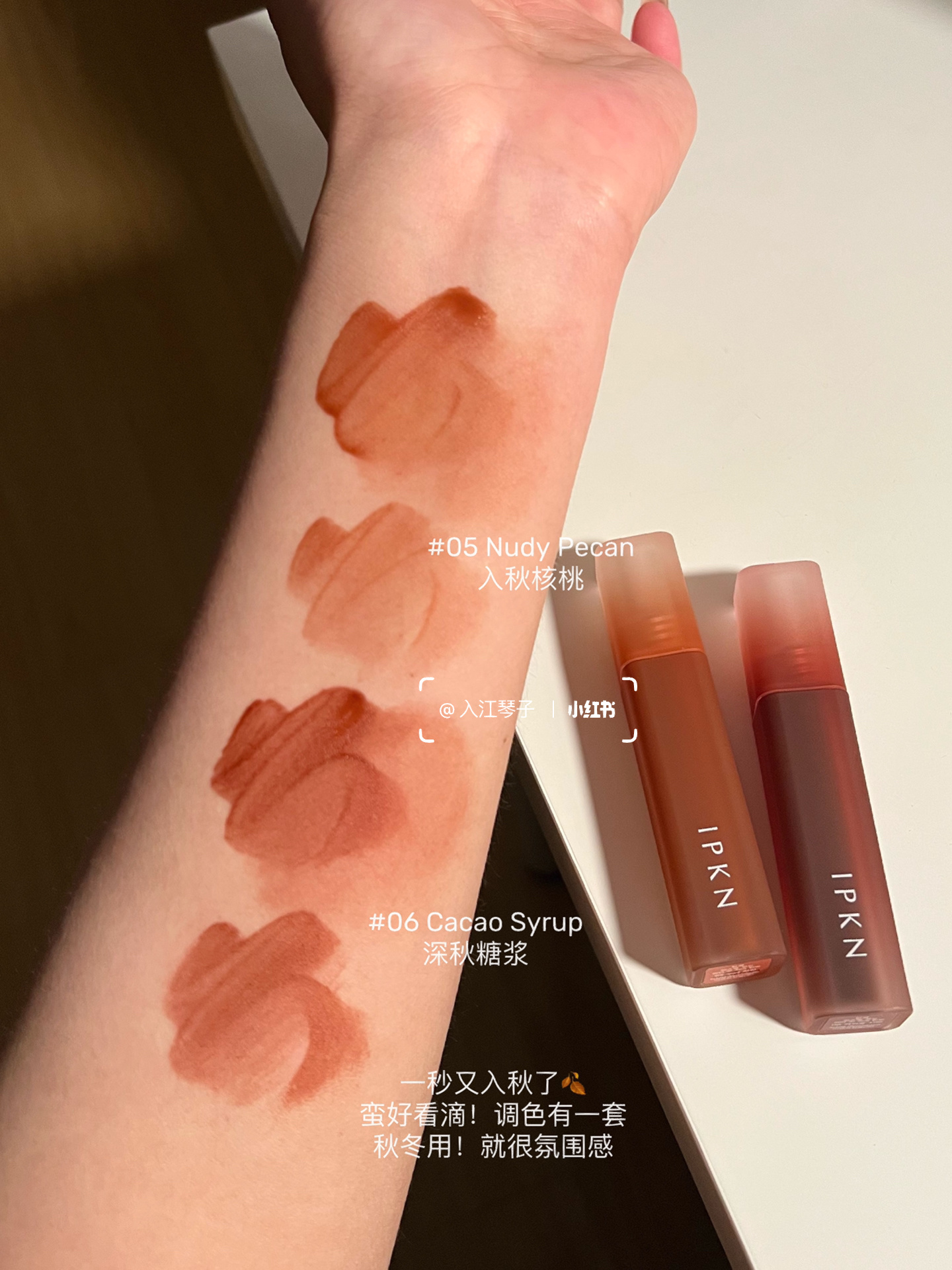 新品！韩国IPKN/忆可恩Dustmoth合作Water fit 保湿哑光唇彩唇釉 - 图2