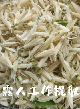 白兰花精油CLR/采露人