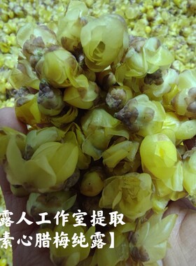 素心纯露补水提亮肤色CLR/采露人