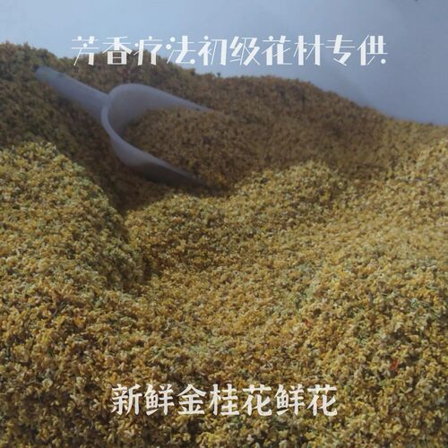 新鲜金桂花鲜花 每年10月花期 制作桂花纯露桂花蜜桂花酒桂花干花 - 图2