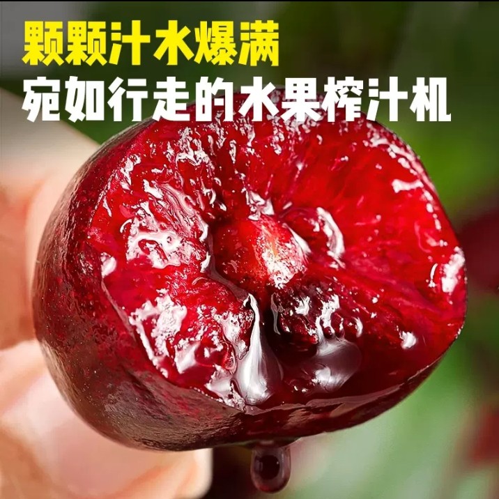 美国车厘子樱桃新鲜水果大樱桃当季现摘现发顺丰包邮,淘宝优惠券,粉丝福利购,淘宝优惠卷