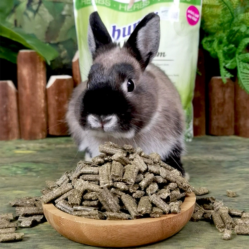 Spot German Bunny Rabbit Grain травы укрепляют версию кроличьи корм для кролика, основное зерно, 1,5 кг