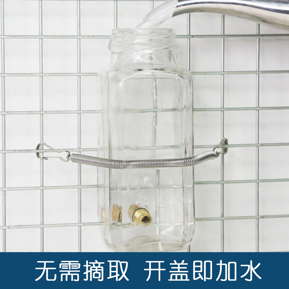 撞针水壶饮水器玻璃大容量龙猫兔子荷兰猪土拨鼠鹦鹉松鼠静音猫狗 - 图2