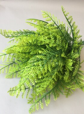 蕨类植物婚庆绿叶插花塑料波斯草