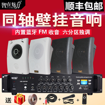 ZL-728T Wall-mounted Sound Background Music Campus Broadcast Suction Top Ceiling Speaker Speaker Power Amplifier