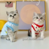 Одежда для любимых собак детское хлопковое плюшевое молоко собака йоркшамальзис котенок молоко кот теплый дно одежда