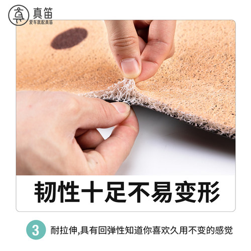 适用极核MO3/mo3pro专用丝圈脚垫卡通可爱电动车脚踏垫防滑垫 - 图0