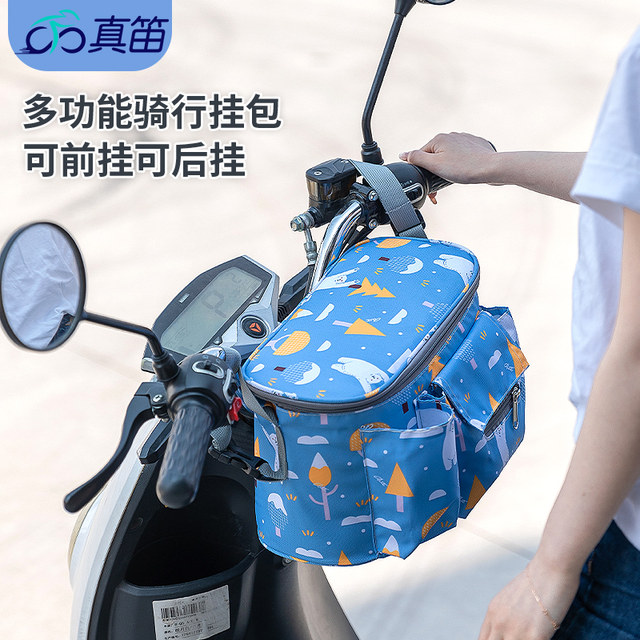 ຖົງເກັບຮັກສາຂະຫນາດໃຫຍ່ສໍາລັບລົດຖີບໄຟຟ້າ