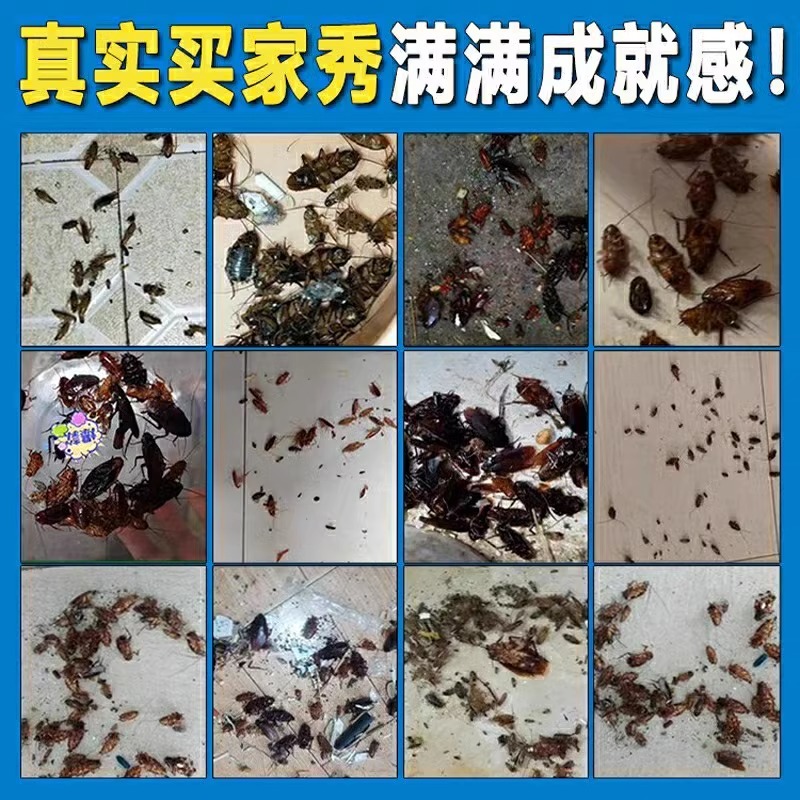 厚生蟑螂药全窝端大小通杀家用厨房饭店强效除灭杀蟑螂胶饵方便贴 - 图1