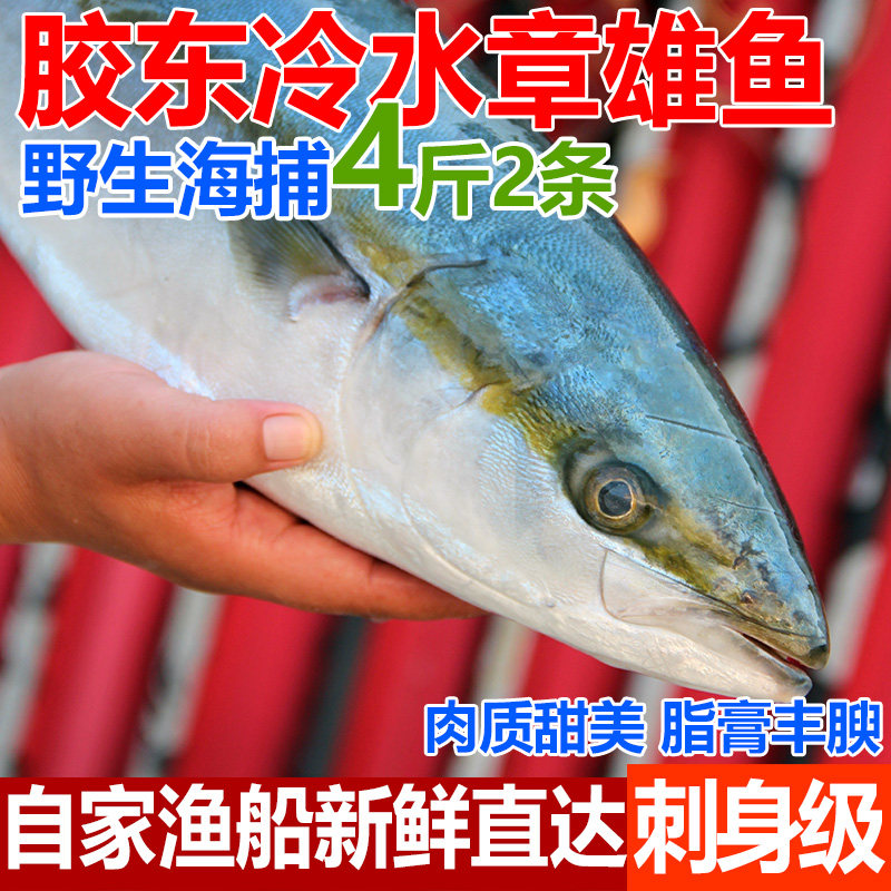 新鲜金枪鱼金狮鰤鱼马鲛鲅鱼日本料理生鱼片油