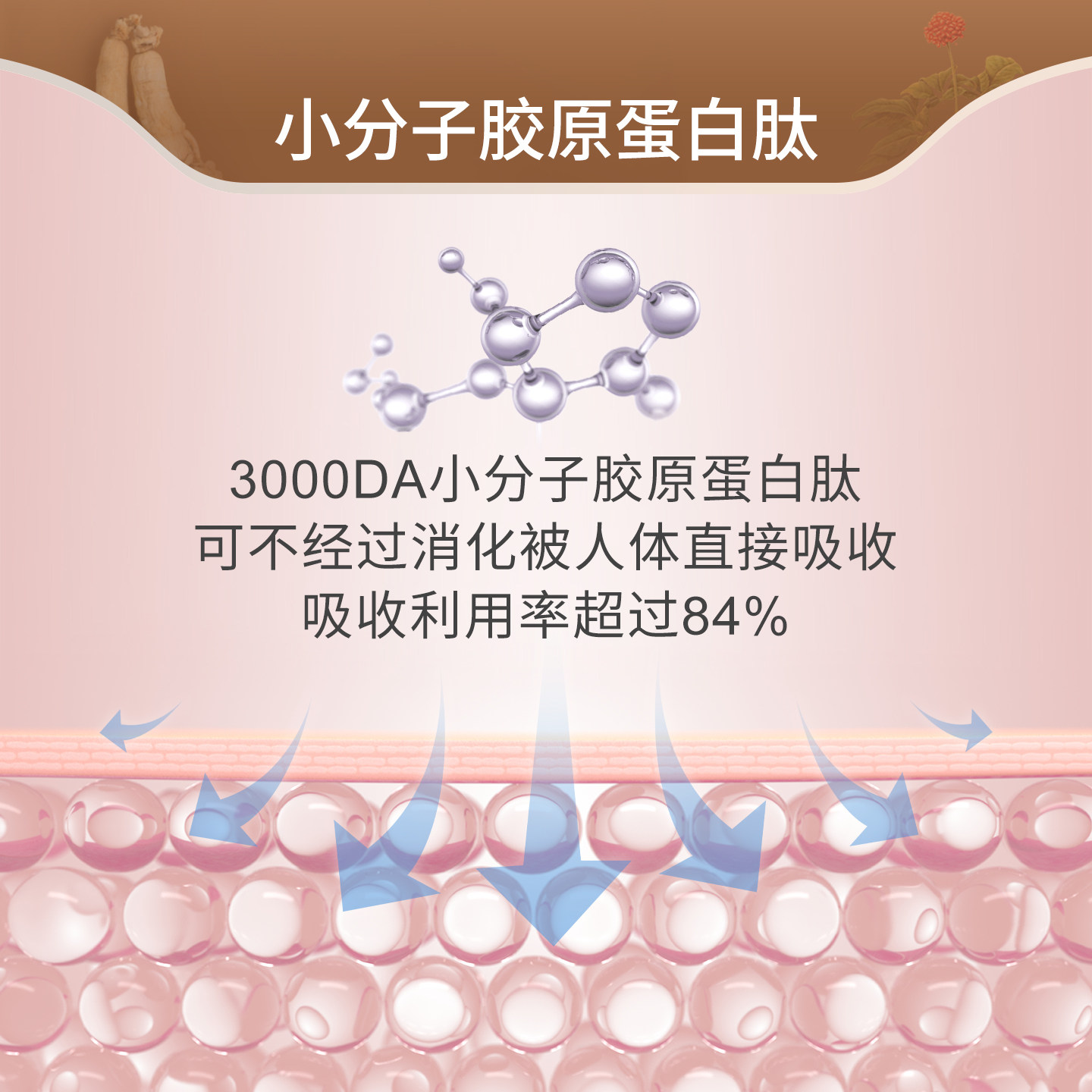 不老健高丽参韩国红参石榴浓缩液人参饮品正品红石榴汁官方旗舰店