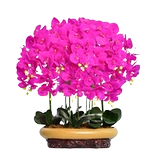 Дополнительные люди Plurie Dross False Flower Simulation Flower Flower Flower Flow