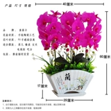 Phalaenopsis Simulation Цветочные орхидеи качаются новые китайские дома в гостиной.