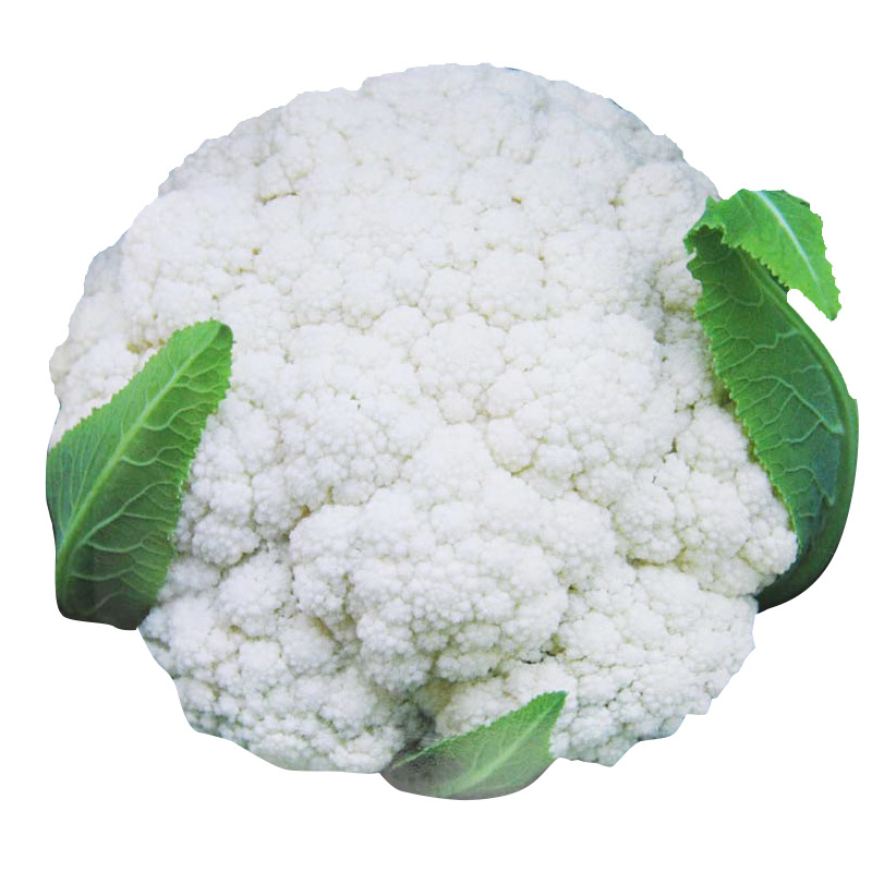 白玉青梗松花菜种子花椰菜种籽蔬菜花菜菜花耐寒孑菜种籽种