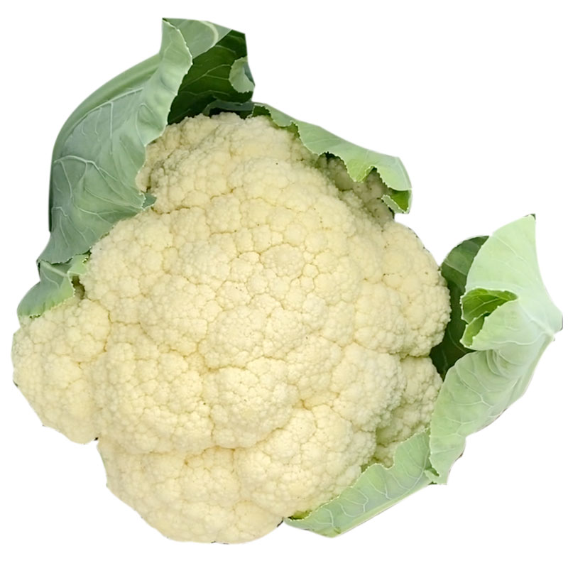 台湾庆美青梗松花菜种子种籽蔬菜花菜菜花散花菜籽55/65/90天80