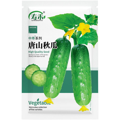 唐山秋瓜种子秋季旱黄瓜老水果秋适合四季正品蔬菜种籽八月晚种的 - 图3