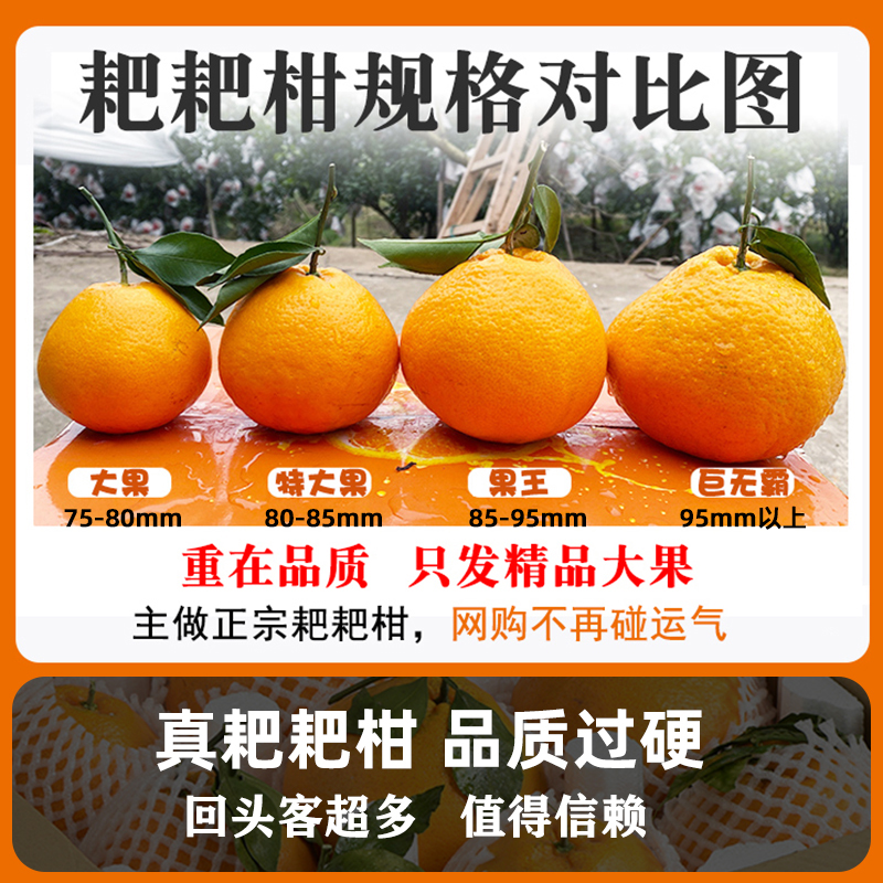 四川特级春见耙耙柑粑粑柑10斤橘子水果新鲜当季整箱丑柑桔橘包邮
