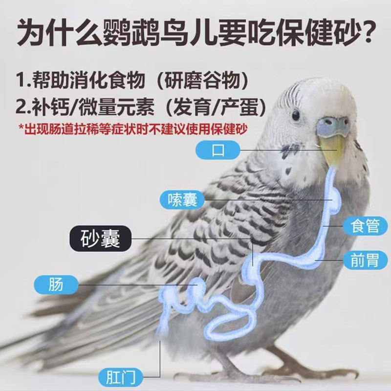 格莱德高钙保健砂玄凤虎皮牡丹鹦鹉专用玉鸟珍珠鸟用高钙颗粒补钙,淘宝优惠券,粉丝福利购,淘宝优惠卷