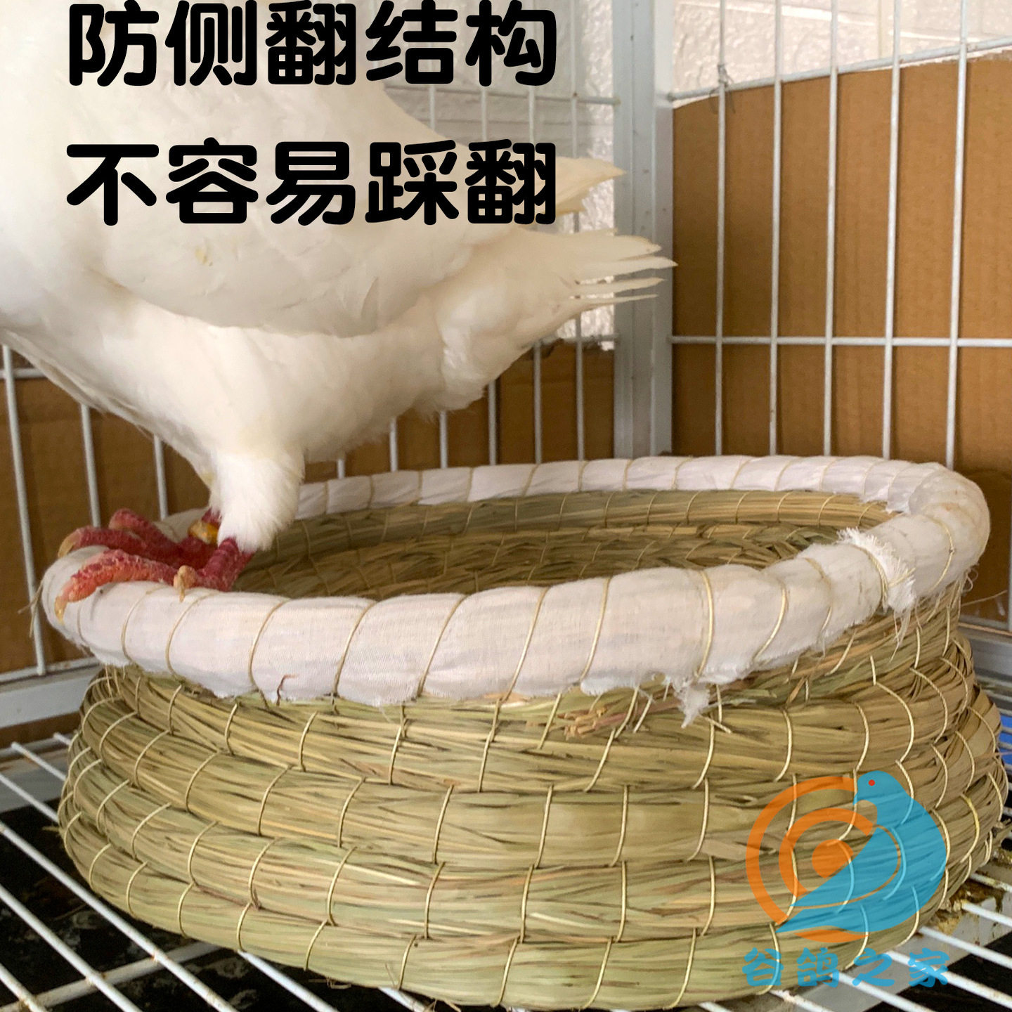图2