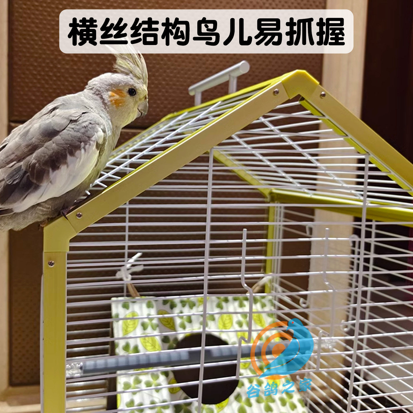 图4