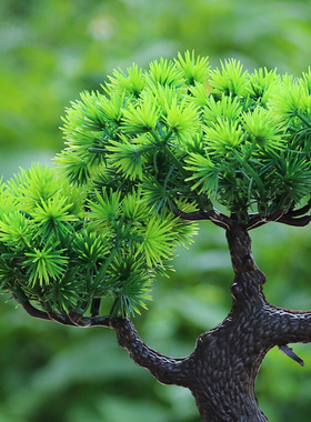 仿真松树家居室内绿色植