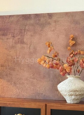 侘寂风树皮画小红书同款中古风客厅装饰画卧室玄关沙发背景墙挂画