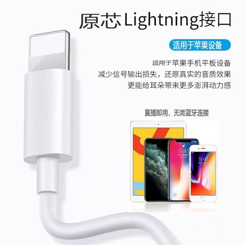 苹果有线耳机适用iPhone17/16/15/14/13/12/8/7pro即插即用type-c - 图0