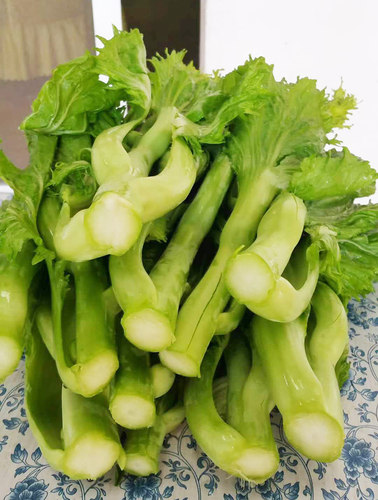 柳州6号甜芥苔种子10克 早熟尖叶型芥菜苔清脆无渣秋季蔬菜种子孑 - 图1