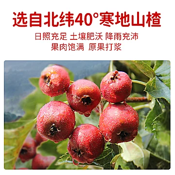 【广盛】散装山楂片1斤[5元优惠券]-寻折猪