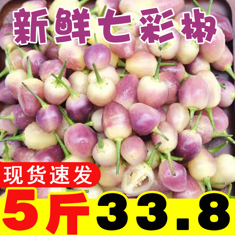 新鲜五彩椒广西特产5斤包邮五色农产品小灯笼辣椒现摘七彩泡椒