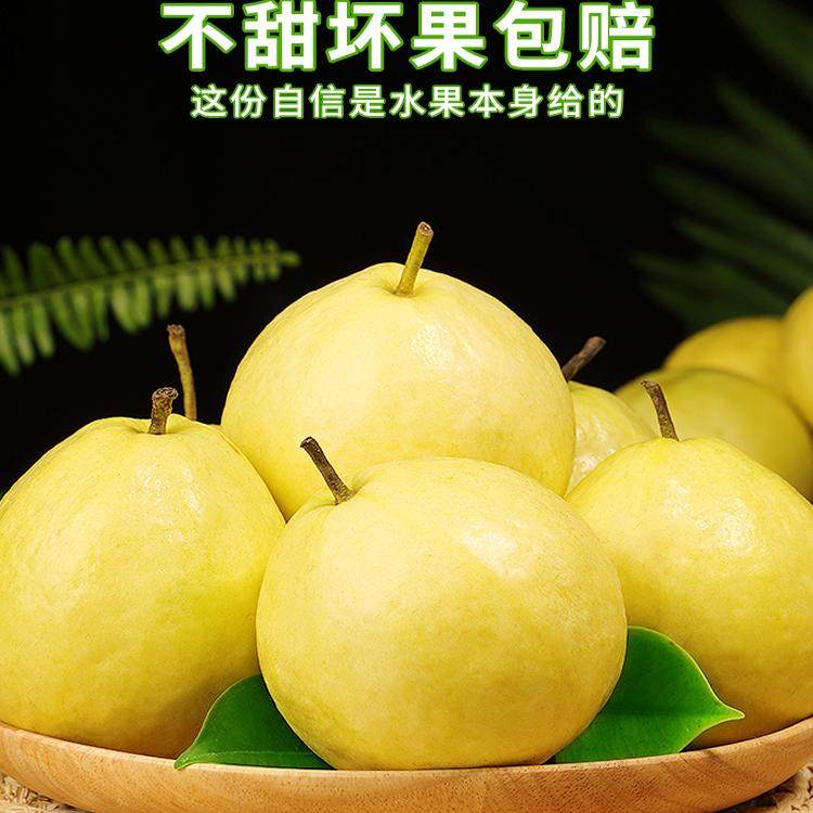 广西软糯奶油芭乐5斤新鲜水果当季软心番石榴鸡屎果白心芭乐包邮3,淘宝优惠券,粉丝福利购,淘宝优惠卷